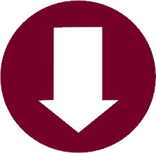 ↓